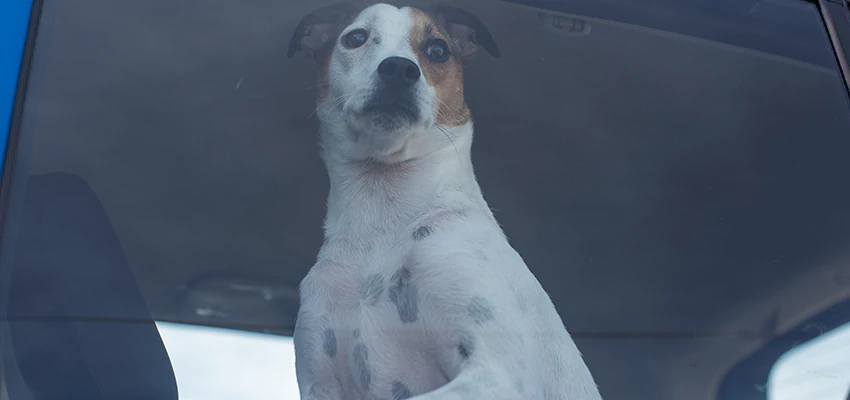 Car Lockout Solutions in Truckee, California